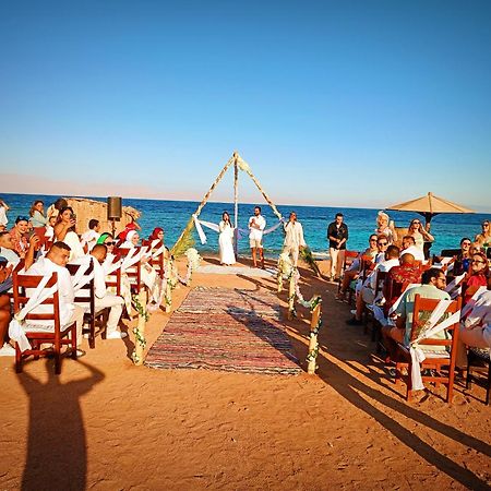 Daniela Diving Resort Dahab Extérieur photo