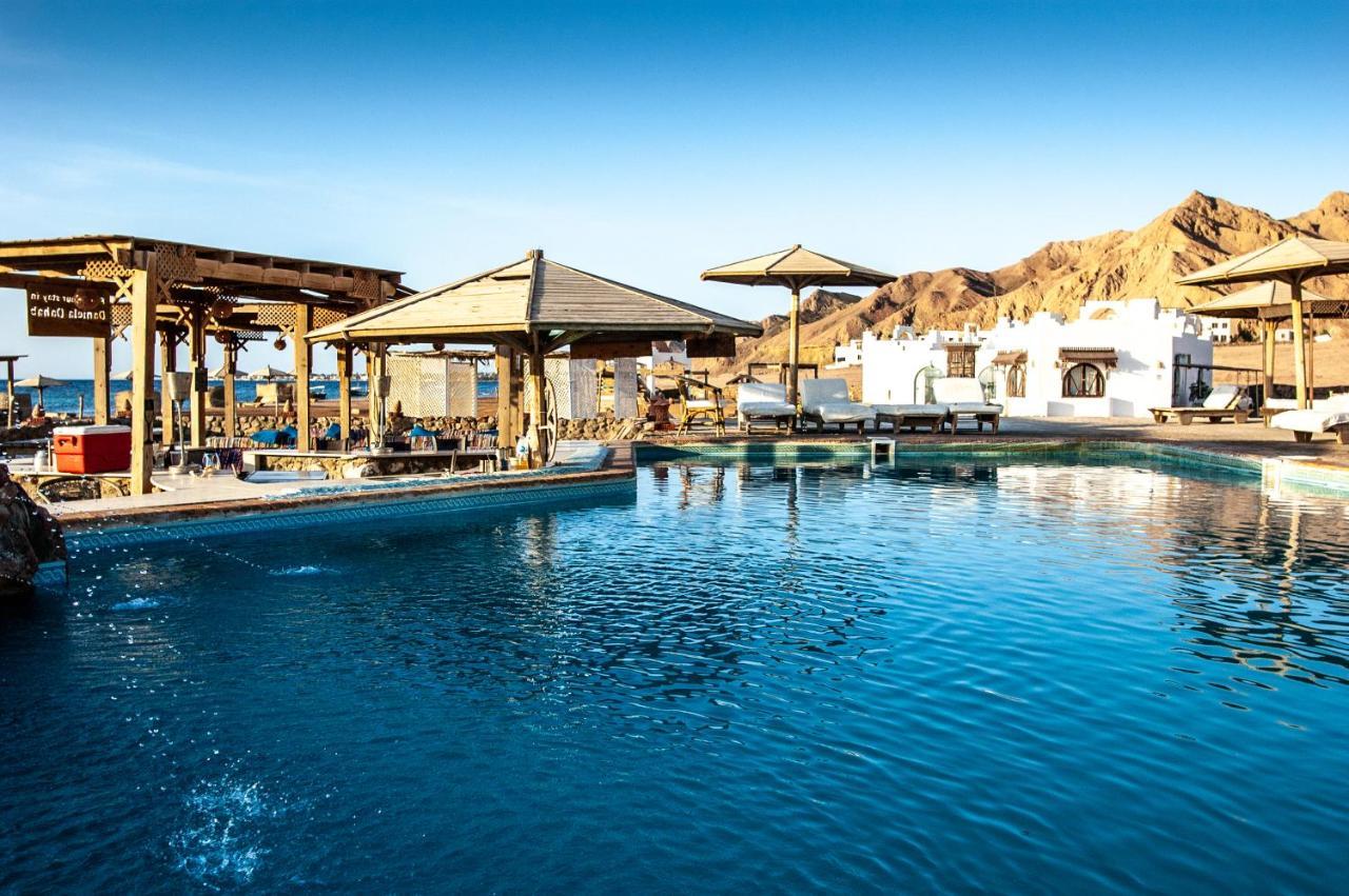 Daniela Diving Resort Dahab Extérieur photo