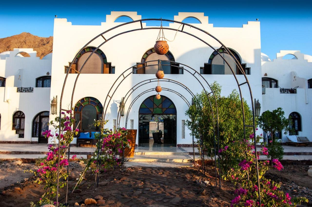 Daniela Diving Resort Dahab Extérieur photo